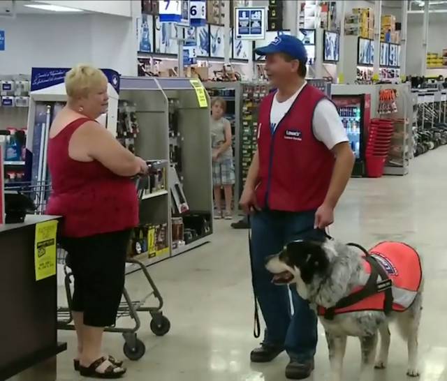 Lowes In Canada Hires Man And Service Dog As Package Deal (8 pics + 1 gif)