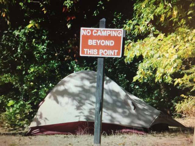 Sometimes You Have To Break The Rules And Do What You Want To (44 pics)