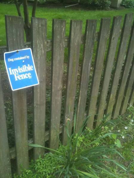 Sometimes You Have To Break The Rules And Do What You Want To (44 pics)