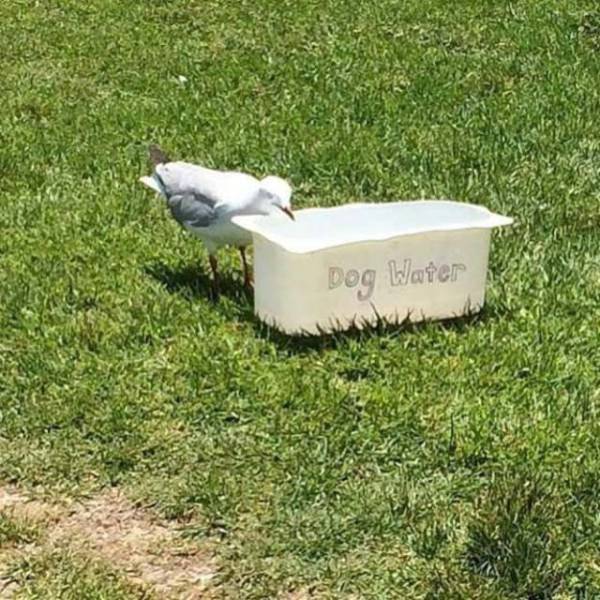 Sometimes You Have To Break The Rules And Do What You Want To (44 pics)