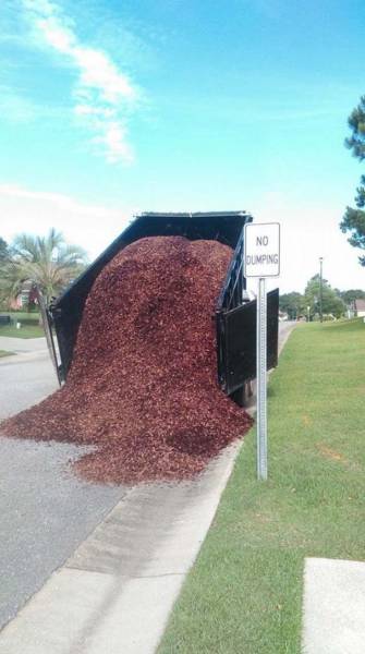 Sometimes You Have To Break The Rules And Do What You Want To (44 pics)