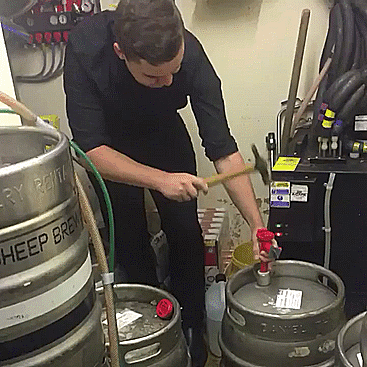 It's Always Entertaining When A Good Plan Goes Bad (27 gifs)