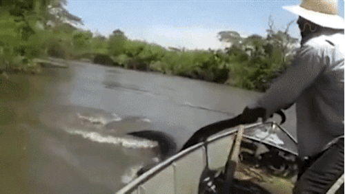 It's Always Entertaining When A Good Plan Goes Bad (27 gifs)