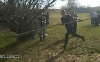 It's Always Entertaining When A Good Plan Goes Bad (27 gifs)