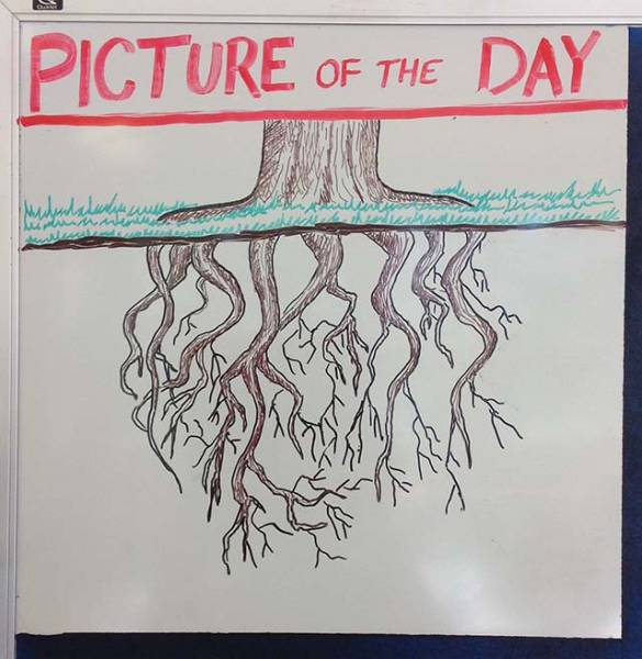 History Teacher Shows Off His Artistic Side On The Whiteboard (59 pics)