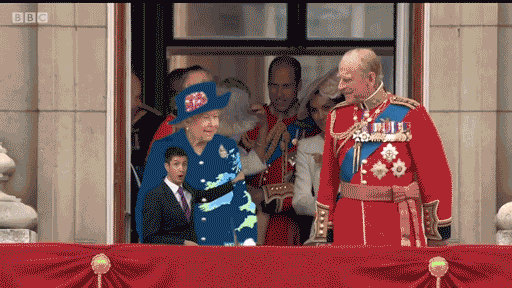 The Internet Turned Queen Elizabeth's Dress Into The Hottest Meme (5 pics + 10 gifs)