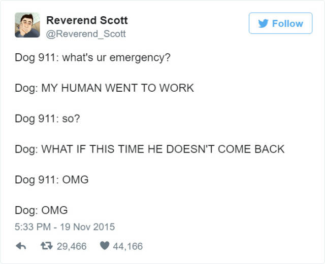 What Dogs Would Say If Dogs Could Call 911 (10 pics + 1 gif)