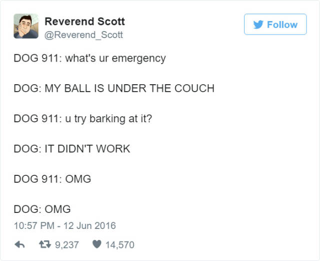 What Dogs Would Say If Dogs Could Call 911 (10 pics + 1 gif)