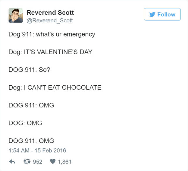 What Dogs Would Say If Dogs Could Call 911 (10 pics + 1 gif)