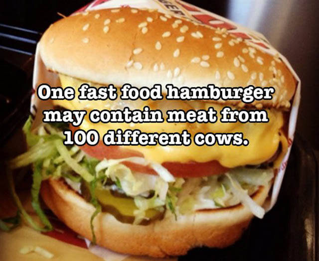 Crazy Food Facts That Might Blow Your Mind (30 pics)