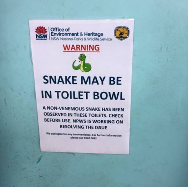 Things Are A Lot More Intense In Australia (43 pics)