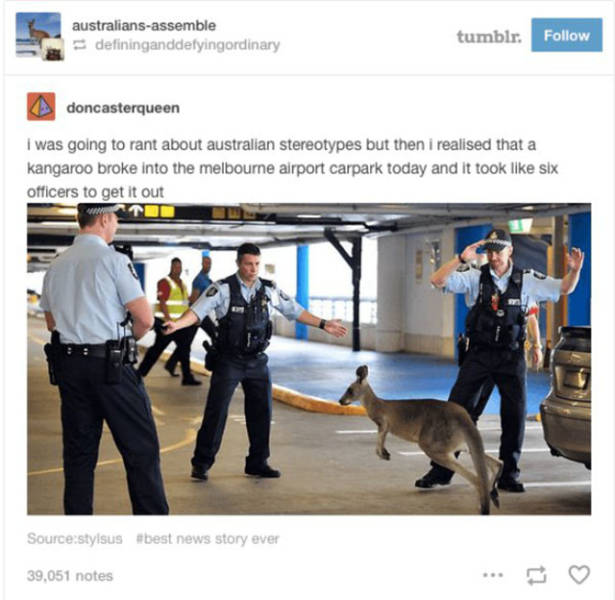 Things Are A Lot More Intense In Australia (43 pics)