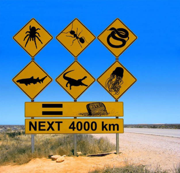 Things Are A Lot More Intense In Australia (43 pics)