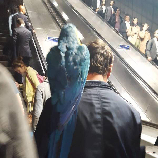 Awkward Life Moments That Just Can't Be Explained (43 pics)
