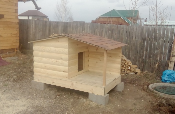 How To Build A Quick And Easy Dog House (6 pics)