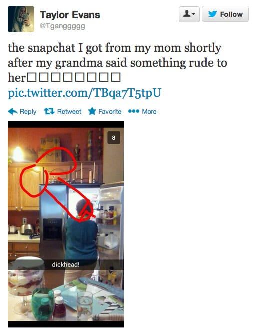 Funny Moms Who Have Totally Mastered Snapchat (15 pics)