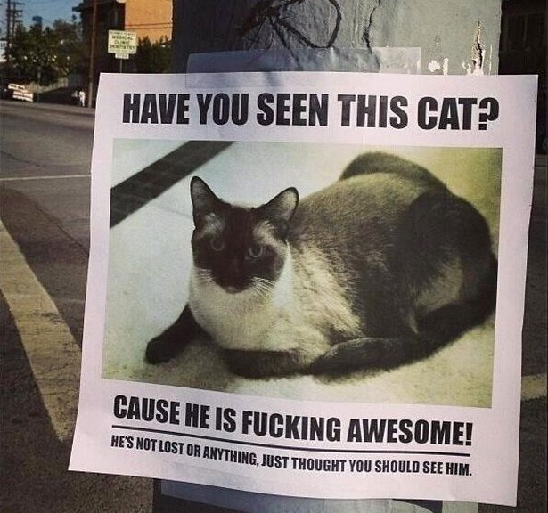 The Funniest And Most Pointless Flyers Ever Printed (20 pics)