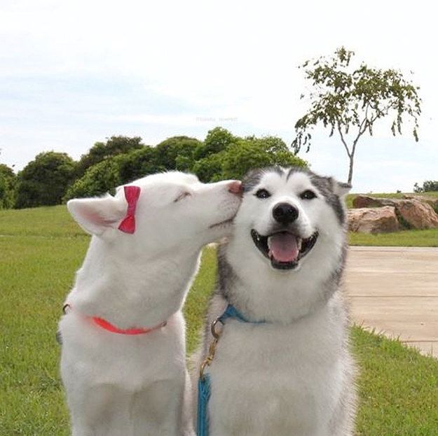 Acid Picdump (114 pics)