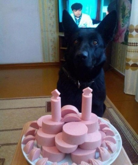 Acid Picdump (114 pics)