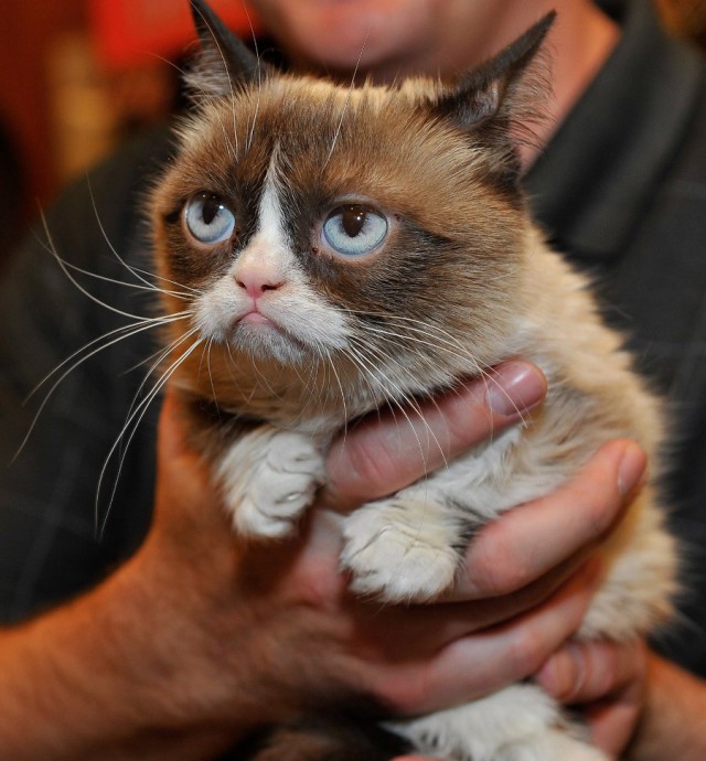 Acid Picdump (114 pics)