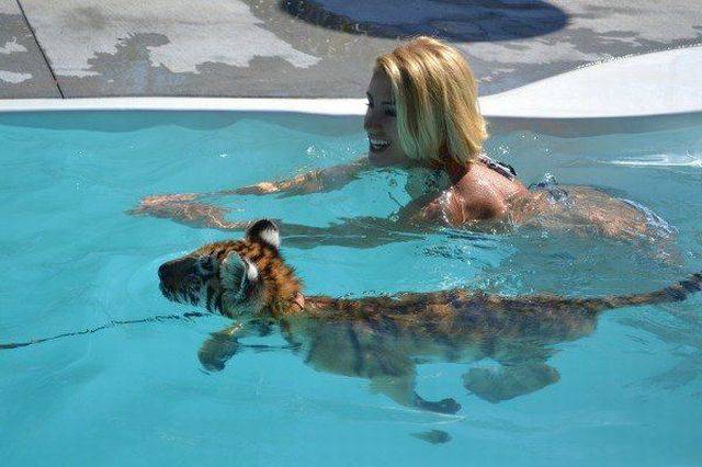 Acid Picdump (114 pics)