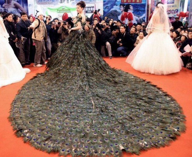 Acid Picdump (114 pics)
