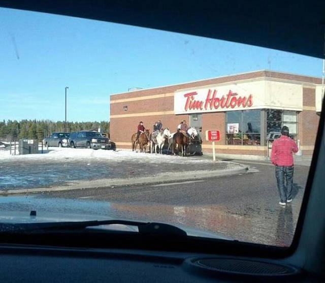 Strange Things That Canadians Consider Normal (37 pics)