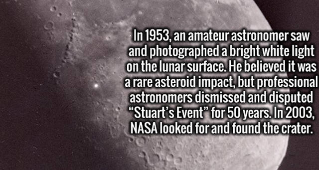 Feed Your Brain A Meal Full Of Cool And Interesting Facts (59 pics)