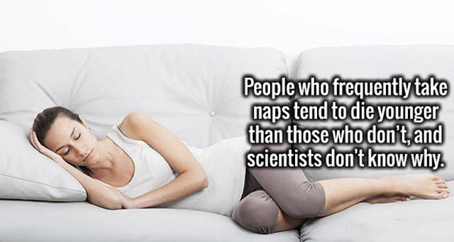 Feed Your Brain A Meal Full Of Cool And Interesting Facts (59 pics)
