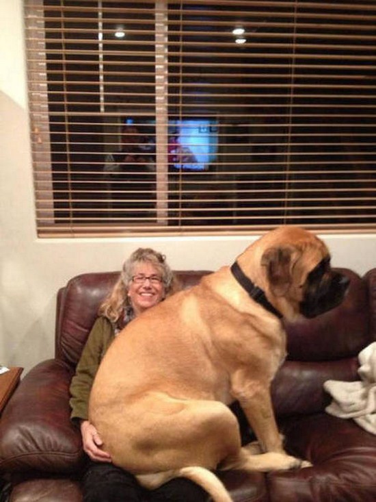 Life Wants You To Always Expect The Unexpected (32 pics)