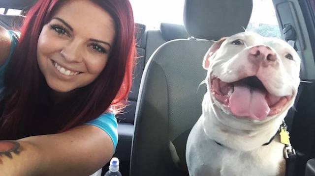 You Just Can't Argue With A Dog's Loyalty (40 pics)