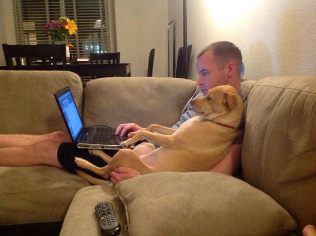 You Just Can't Argue With A Dog's Loyalty (40 pics)