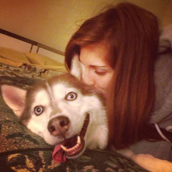 You Just Can't Argue With A Dog's Loyalty (40 pics)