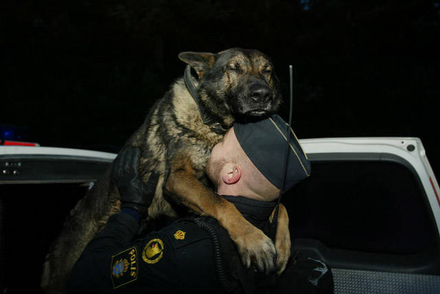 You Just Can't Argue With A Dog's Loyalty (40 pics)