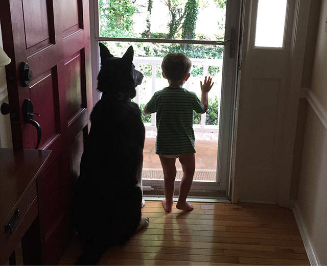 You Just Can't Argue With A Dog's Loyalty (40 pics)