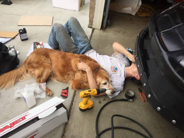 You Just Can't Argue With A Dog's Loyalty (40 pics)