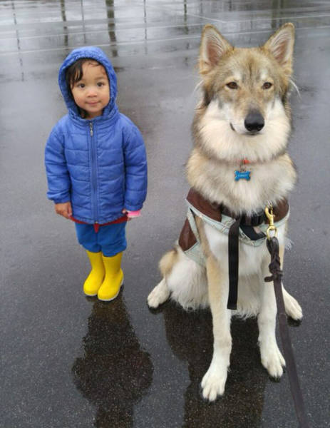 You Just Can't Argue With A Dog's Loyalty (40 pics)