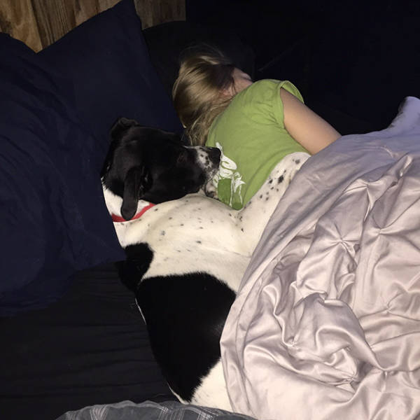 You Just Can't Argue With A Dog's Loyalty (40 pics)