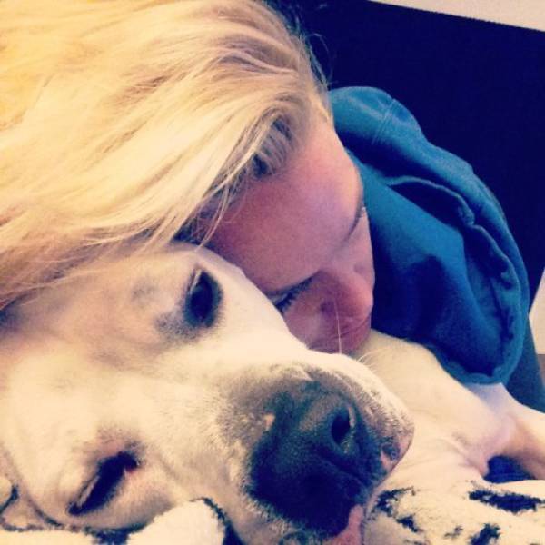 You Just Can't Argue With A Dog's Loyalty (40 pics)