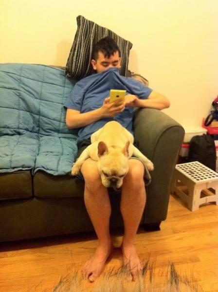 You Just Can't Argue With A Dog's Loyalty (40 pics)