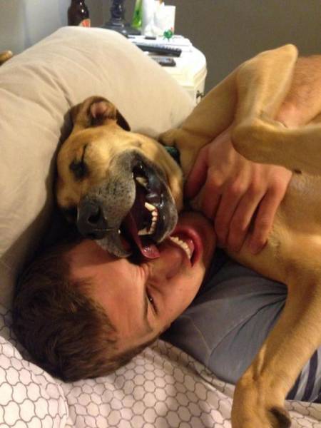 You Just Can't Argue With A Dog's Loyalty (40 pics)