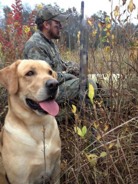 You Just Can't Argue With A Dog's Loyalty (40 pics)