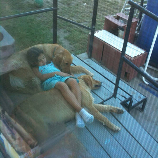 You Just Can't Argue With A Dog's Loyalty (40 pics)