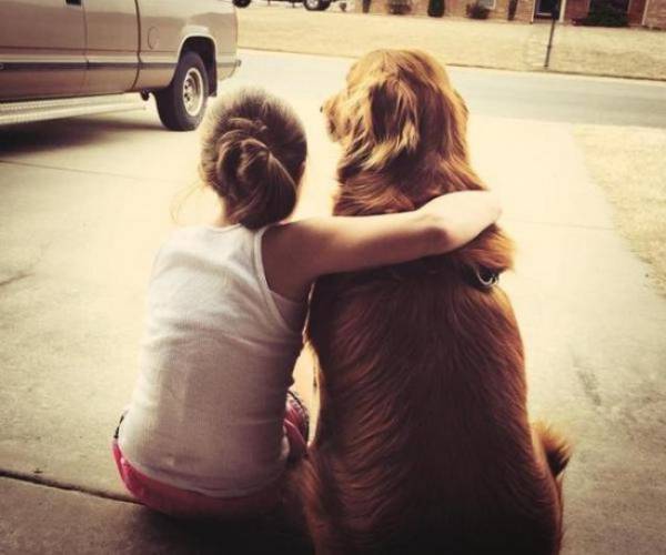 You Just Can't Argue With A Dog's Loyalty (40 pics)