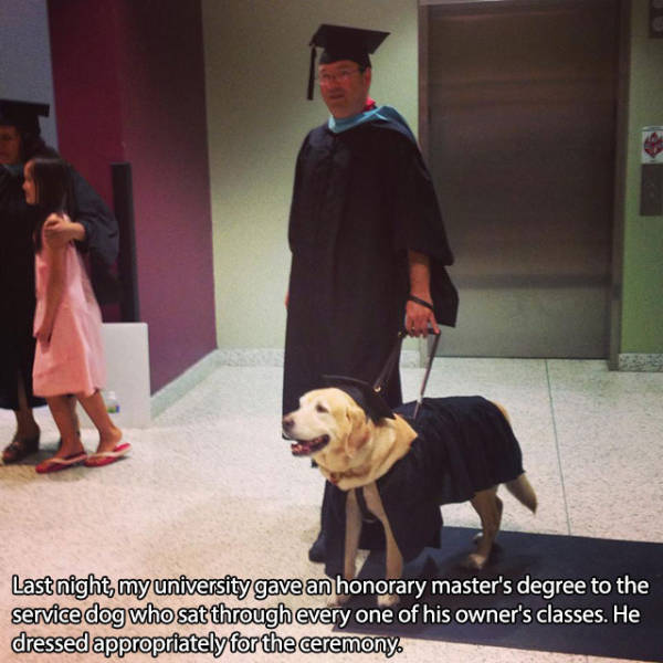 You Just Can't Argue With A Dog's Loyalty (40 pics)