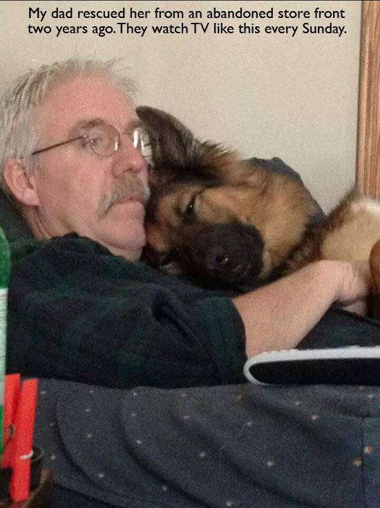 You Just Can't Argue With A Dog's Loyalty (40 pics)
