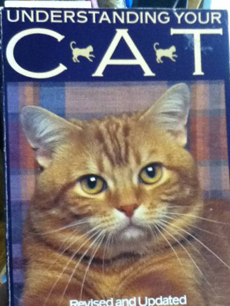 Thrift Shops Are Like A Time Capsule Filled With The Strangest Items (45 pics)