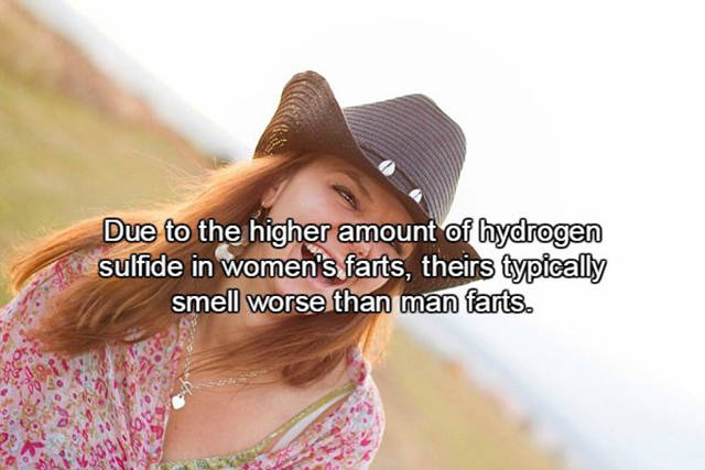 Interesting Facts About Farts That Will Surprise You (15 pics)