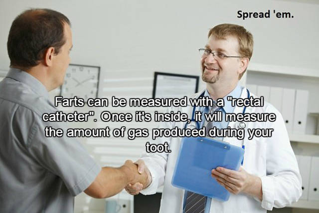 Interesting Facts About Farts That Will Surprise You (15 pics)