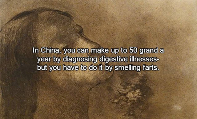 Interesting Facts About Farts That Will Surprise You (15 pics)